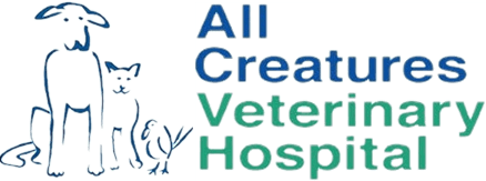 all animals veterinary hospital
